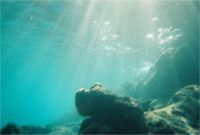 Snorkling at "The Caves" on Norman Island